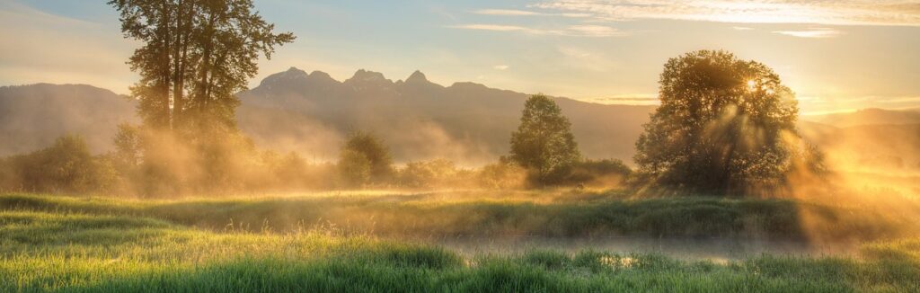 nature, fog, travel, foggy, haze, mist, outdoors, ripple, river, wilderness, woods, woodland, nature, travel, travel, travel, river, river, river, river, river